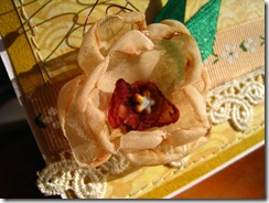 IMG_7871 IMG_7871