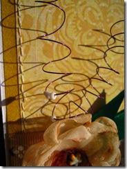 IMG_7870 IMG_7870