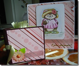 IMG_8095 IMG_8095