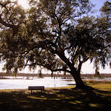 Last was a State Park to find some Alligators.