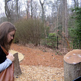 Kate reading about a tree and how old it was during historic Atlanta events.