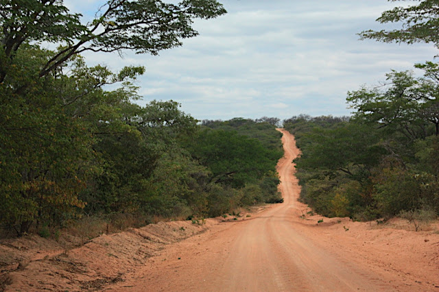 Ruaha 1