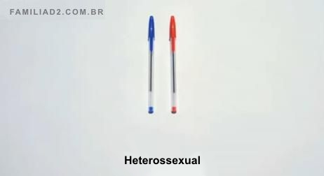 explicandosexo 1 heterossexual Explicando sexo para crianças