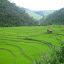 IMG_1212-1000.jpg