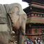 Nepal 303-1000.jpg