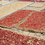 Nepal 761-1000.jpg