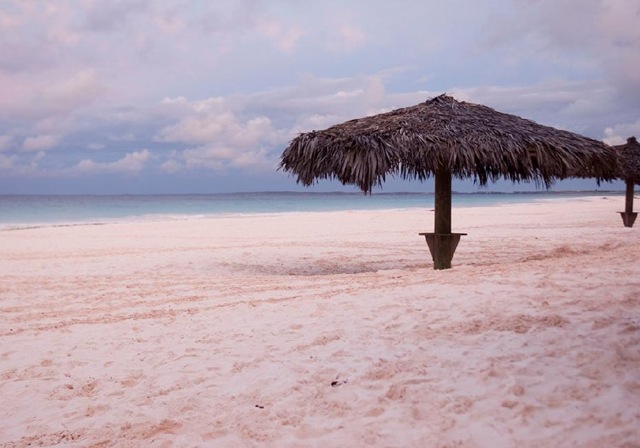 [Pink sand, Harbour Island, Bahamas[6].jpg]