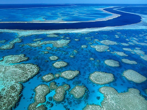 [Great Barrier Reef Marine Park, Queensland, Australia[5].jpg]