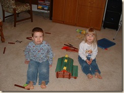20100108_LogCabin01