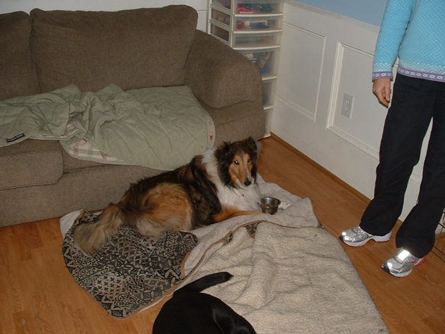 [20100130_VisitingPony06[3].jpg]