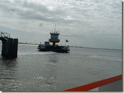 20091119_Ferry12