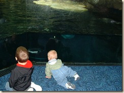 20091120_Aquarium15
