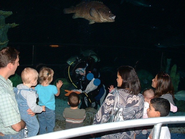 [20091120_Aquarium20[3].jpg]