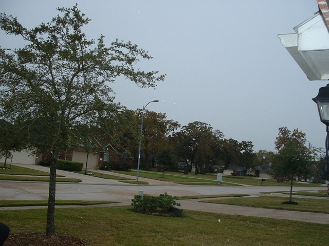 [20091204_Snow05[3].jpg]