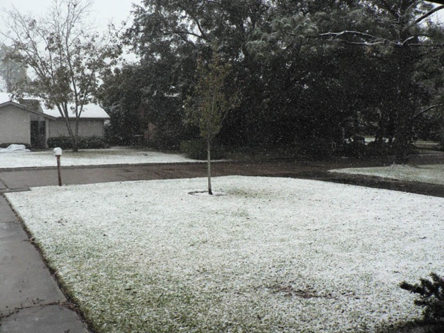 [20091204_GrannySnow02[3].jpg]
