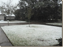20091204_GrannySnow02