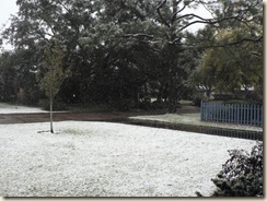 20091204_GrannySnow01