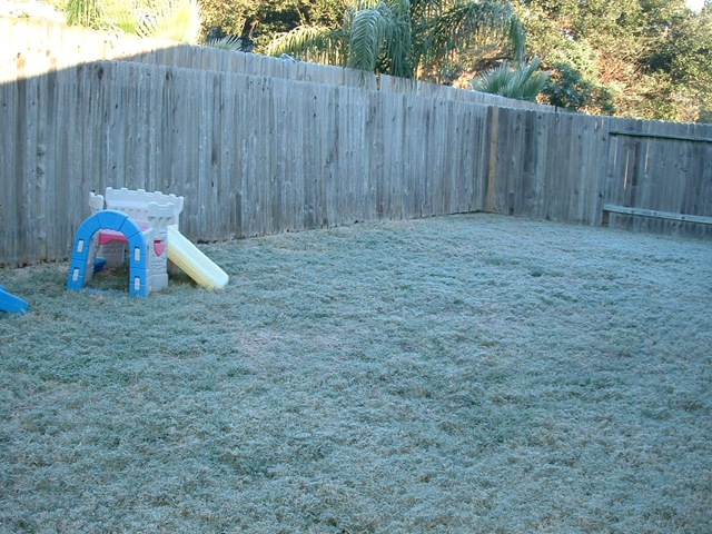 [20091205_Sledding01[3].jpg]