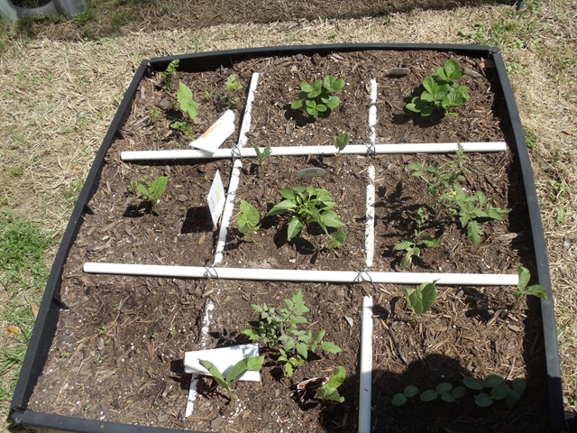 [20110311_Garden043.jpg]
