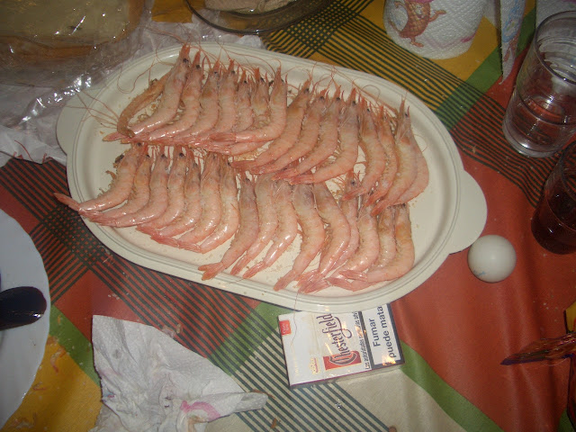 CIMG8533.JPG