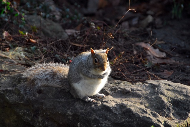 [DSC_01120065[2].jpg]