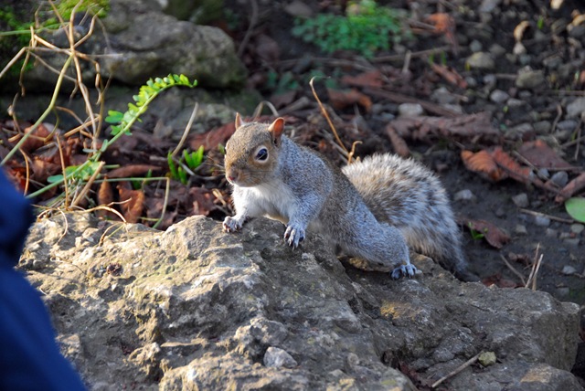 [DSC_01000055[2].jpg]