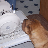 100_8748.JPG