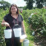 100_9665.JPG