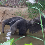 100_9821.JPG