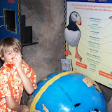 100_9778.JPG