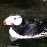 100_9783.JPG