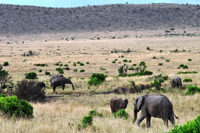 [Africa 2GB 372[2].jpg]