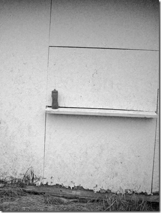 Joseph black and white Joseph black and white