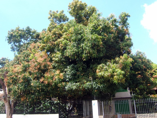 [DSCF44405.jpg]
