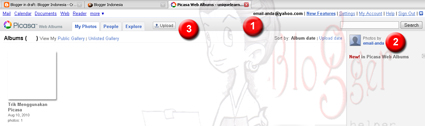 Trik menggunakan Picasa, Picasa Web Album, Google Picasa