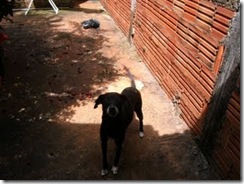 fotos_068