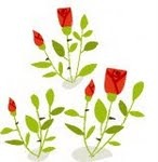 [roses1[3].jpg]