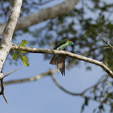 IMG_2770.JPG