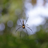 IMG_3173.JPG