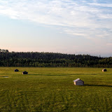 IMG_5936.JPG