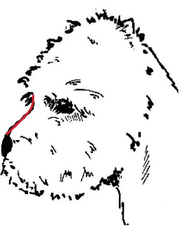head5 head5