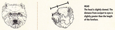 head2