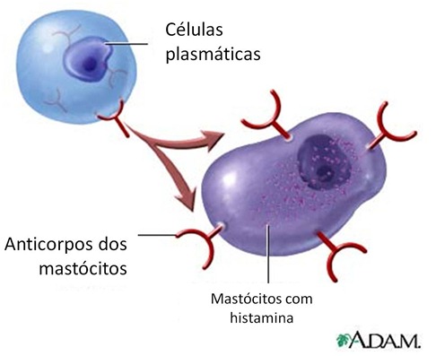 Slide2