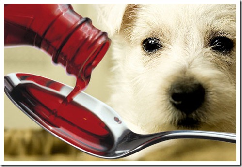 dog_medicine dog_medicine