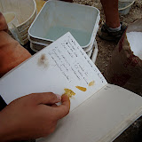 taking notes