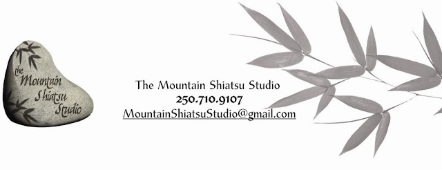Studio footer
