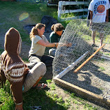 permaculture students working on a chicken tractor