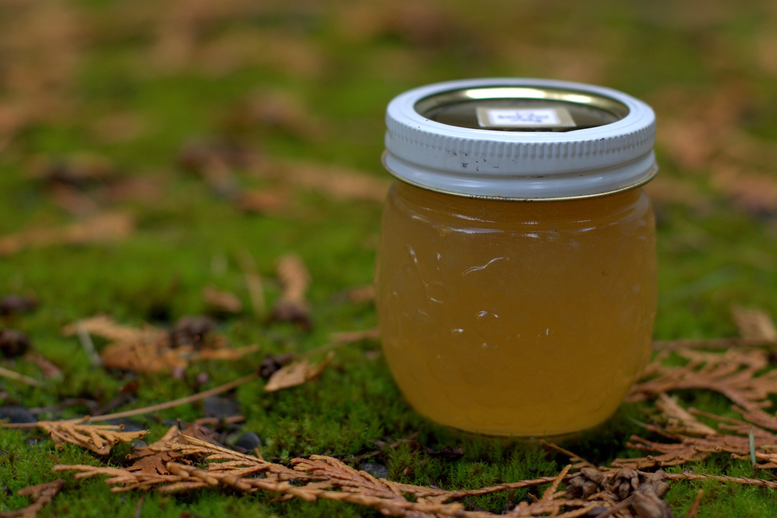 [img_0411 Pear Jam[2].jpg]