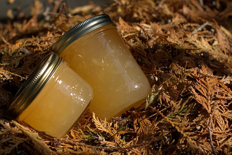 Pear Jam among the leaves