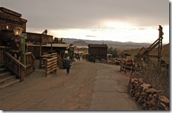 Calico-07